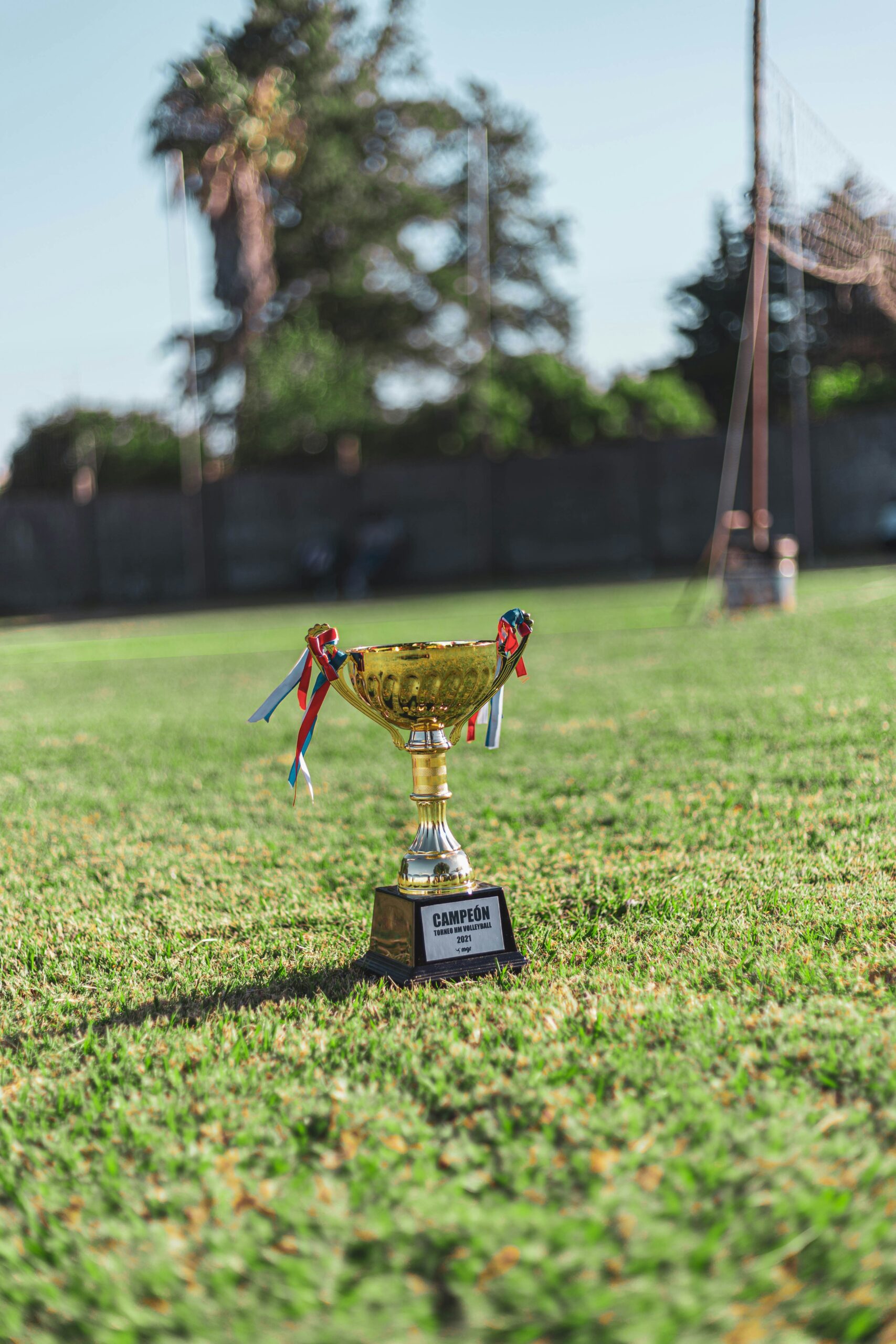 The MVP Soccer Award